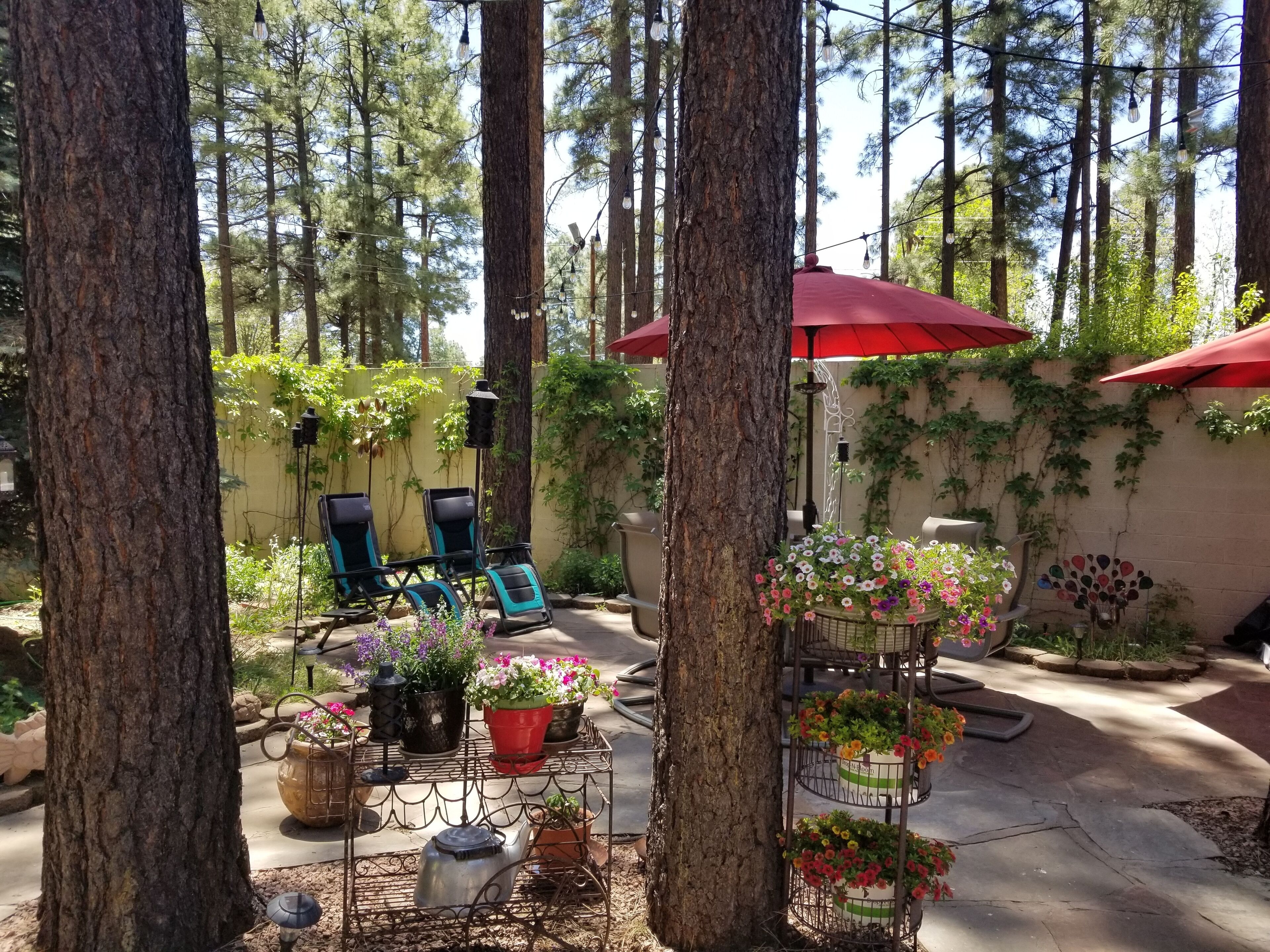 Cozy private Casita in the Heart of Pinetop w/spectacular courtyard. 