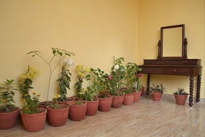 Lobby - Tara Guest House (Varanasi)