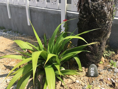 施設の敷地