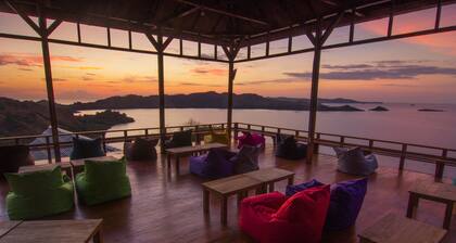 One Tree Hill - Hostel
