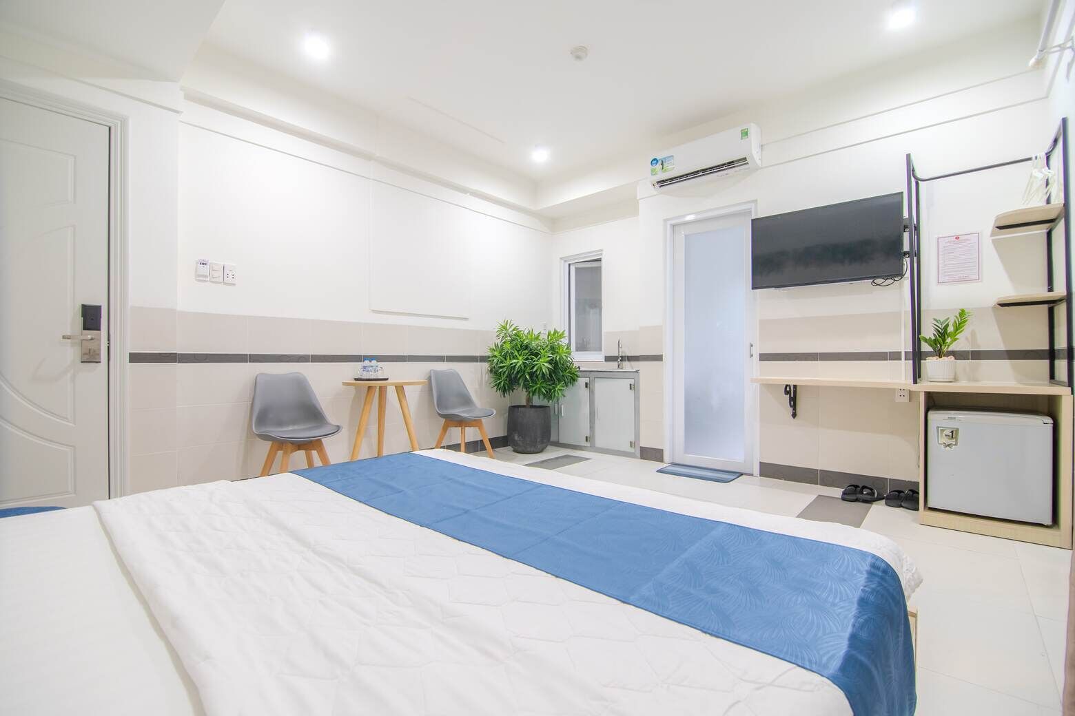 A hotel room with a bed, a desk, two chairs, a small plant, a TV, a mini fridge, and a door.