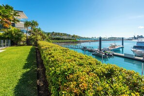 Garden - Pavillion 17 - Waterfront Spacious 4 Bedroom With Own Inground Pool And Golf Buggy (Whitsundays)