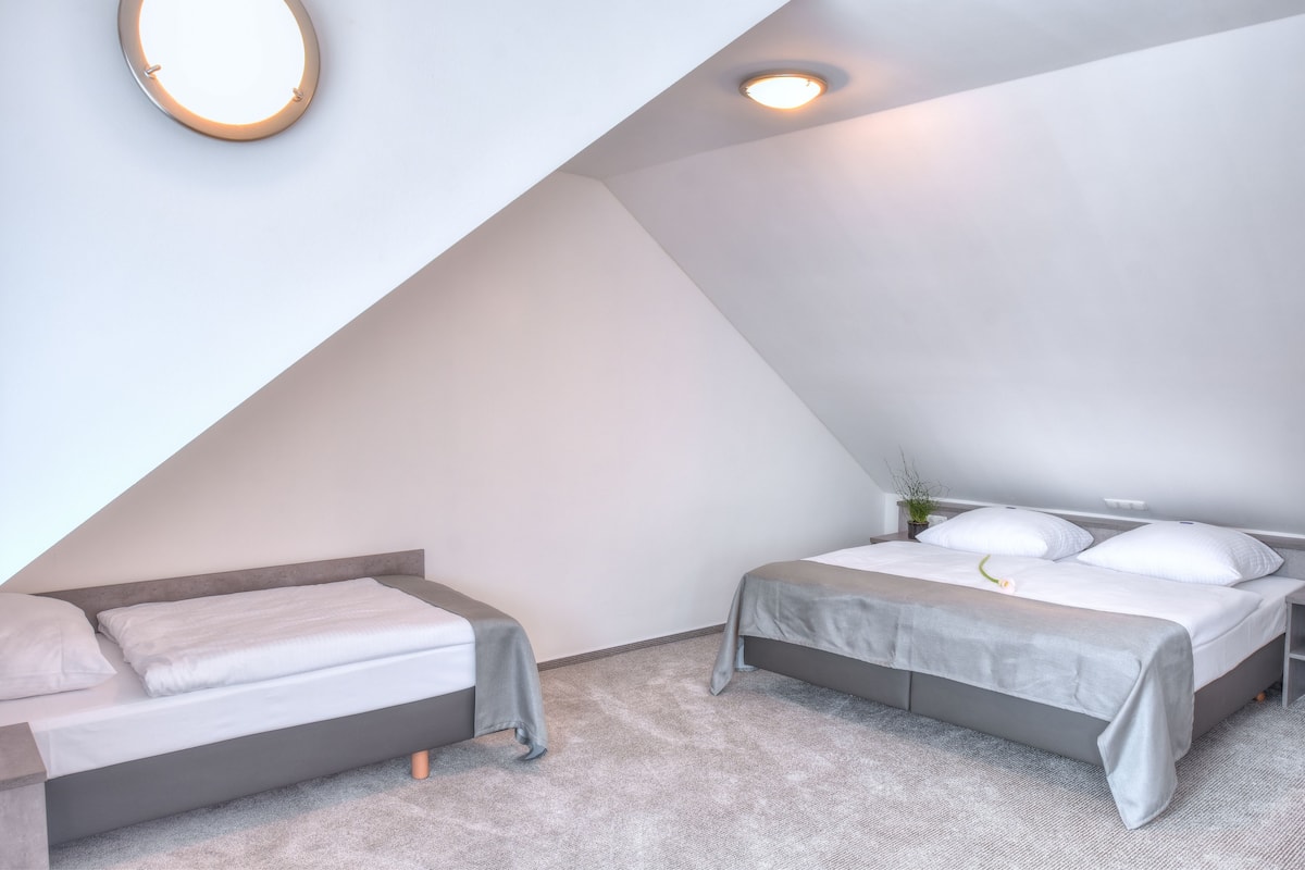 A modern bedroom with a sloped ceiling, two beds, a bedside table, a mirror, and a small plant.