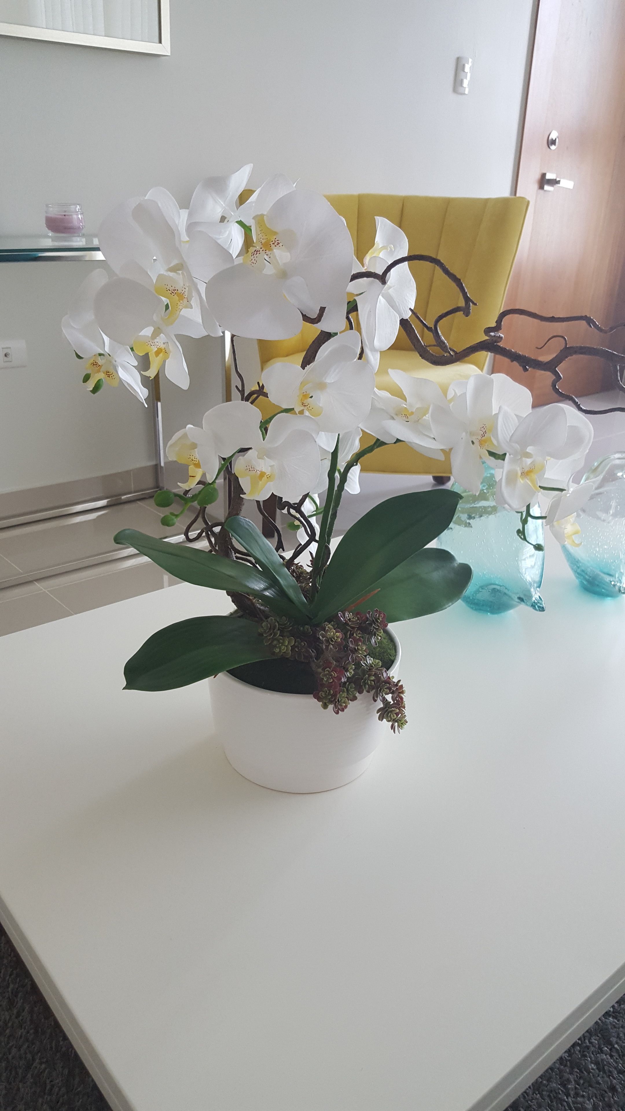 A white orchid plant in a white pot on a white table.
