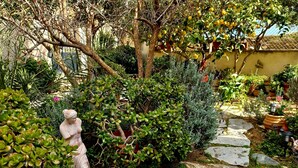 Jardí amb una estàtua, un camí de pedra i diverses plantes.