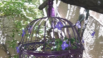 Tuin