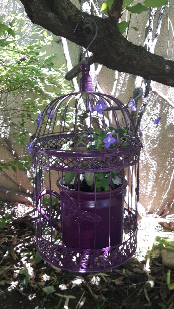 A purple birdcage with a butterfly design, hanging from a tree branch.