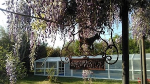 Un jardin où pendent des fleurs violettes, avec une serre en arrière-plan.