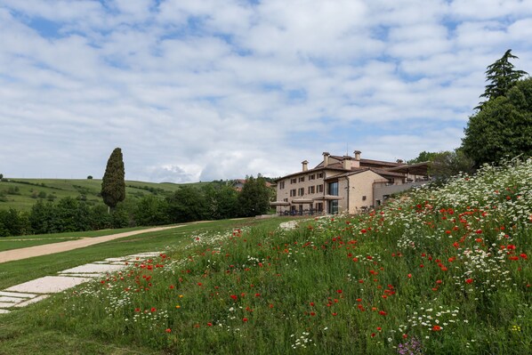 Un edificio grande de dos pisos con un estilo arquitectónico tradicional, rodeado por un paisaje exuberante con diversas flores silvestres y un cielo despejado.