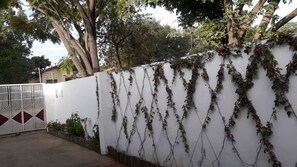 Property grounds - Amogelang Guest House (Kasane)