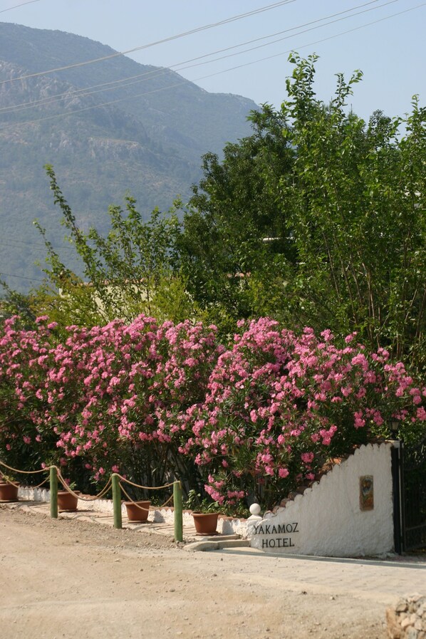 Vue depuis l’hébergement 