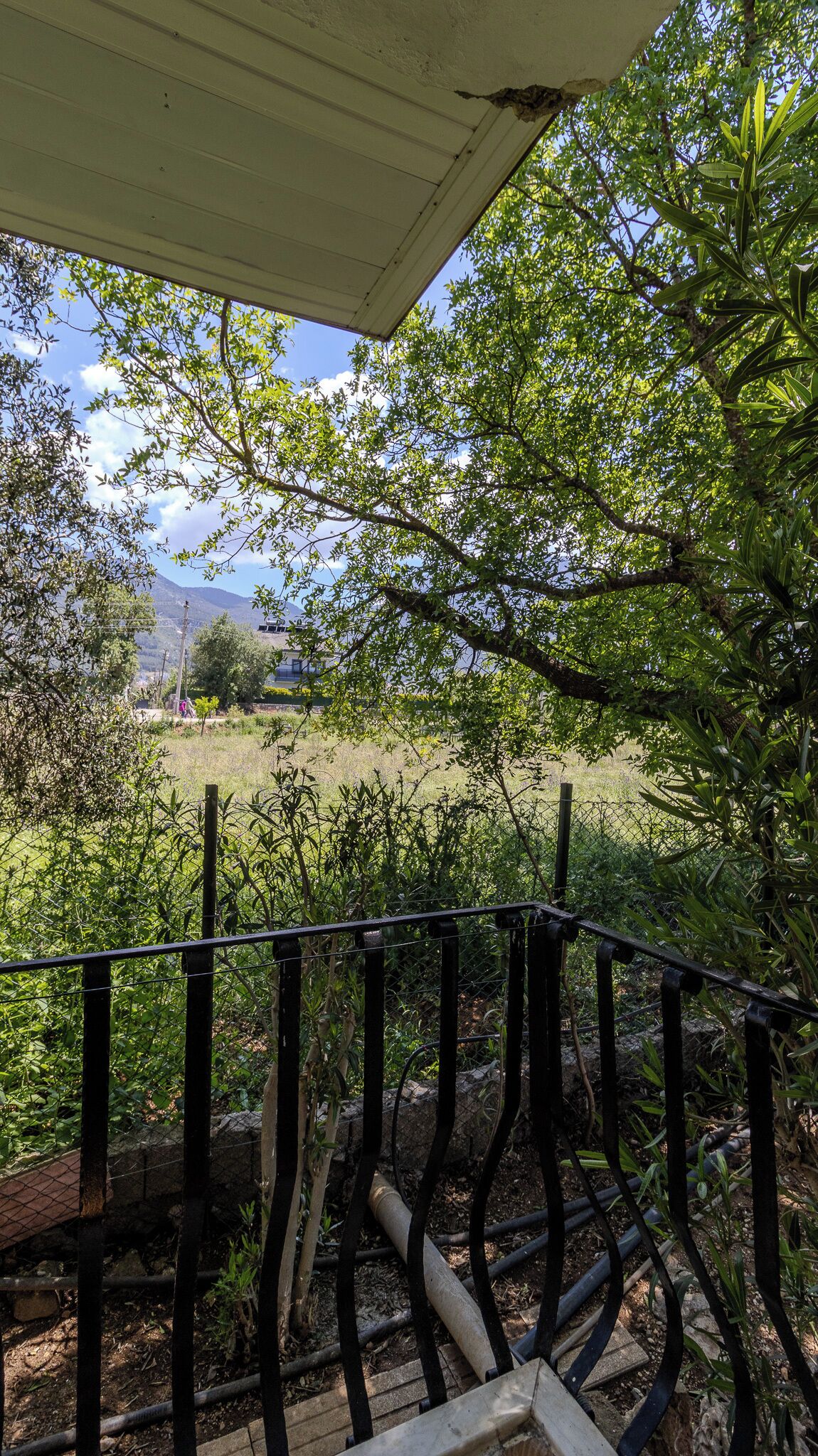 Comfort Triple Room, Garden View | View from room