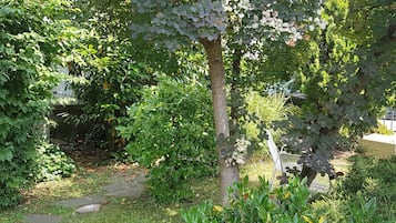 Jardim