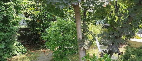 Jardín