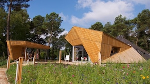 Een moderne houten chalet met een schuin dak, omgeven door een tuin vol verschillende wildflowers.