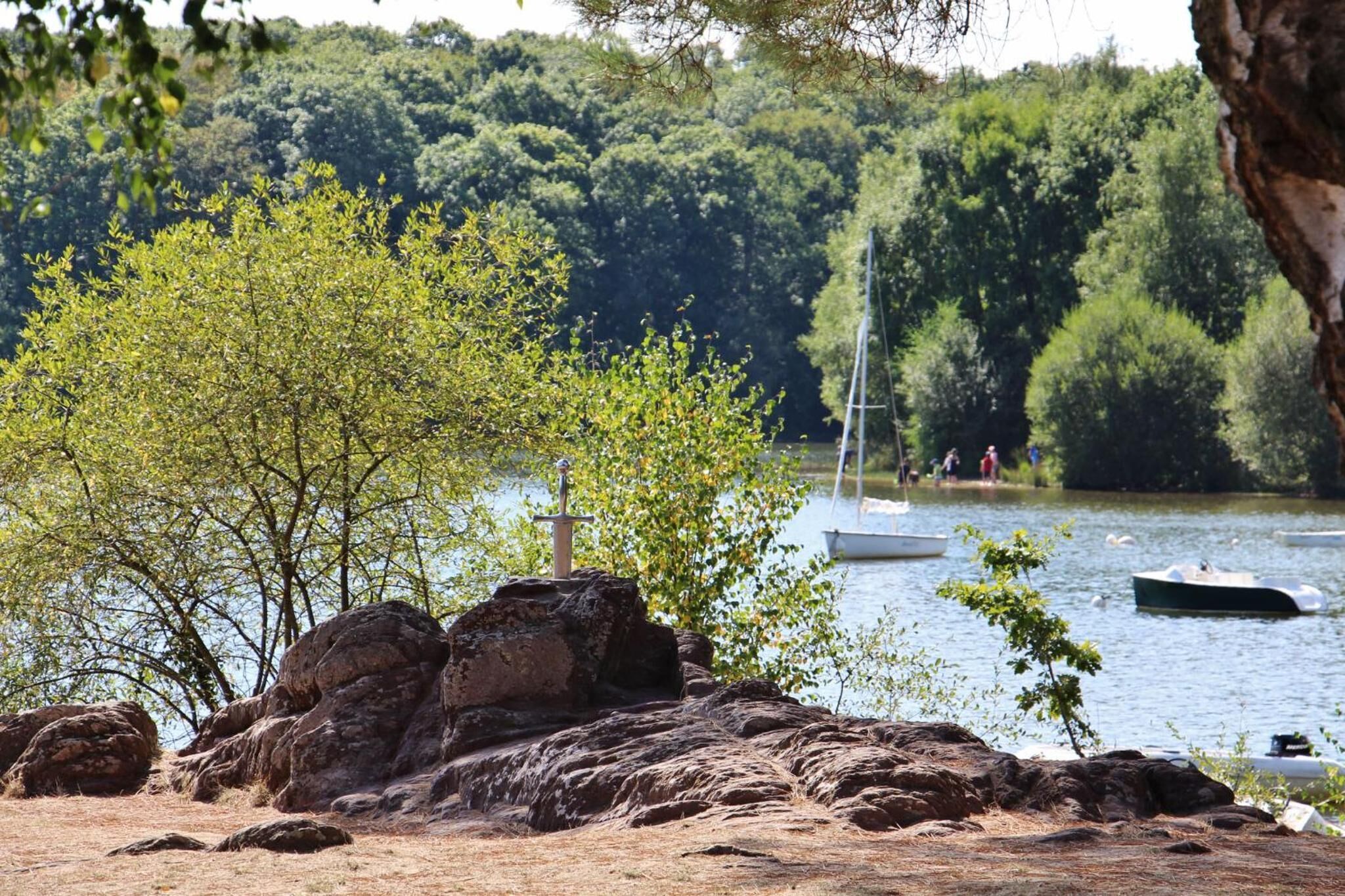 A rocky shoreline with a small tree and a sailboat on the water.