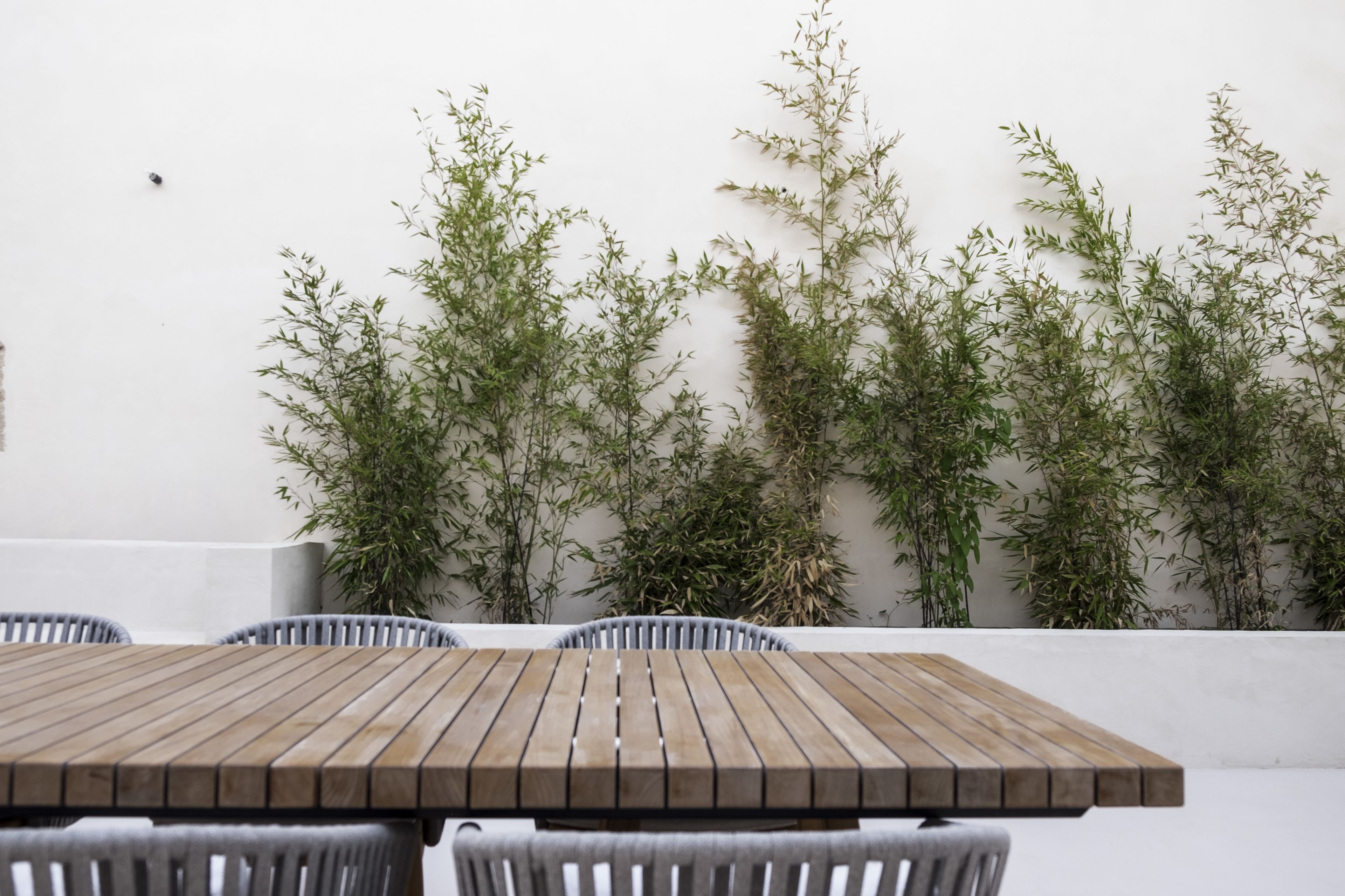 Una mesa de madera con cuatro sillas, una pared blanca y plantas de bambú.