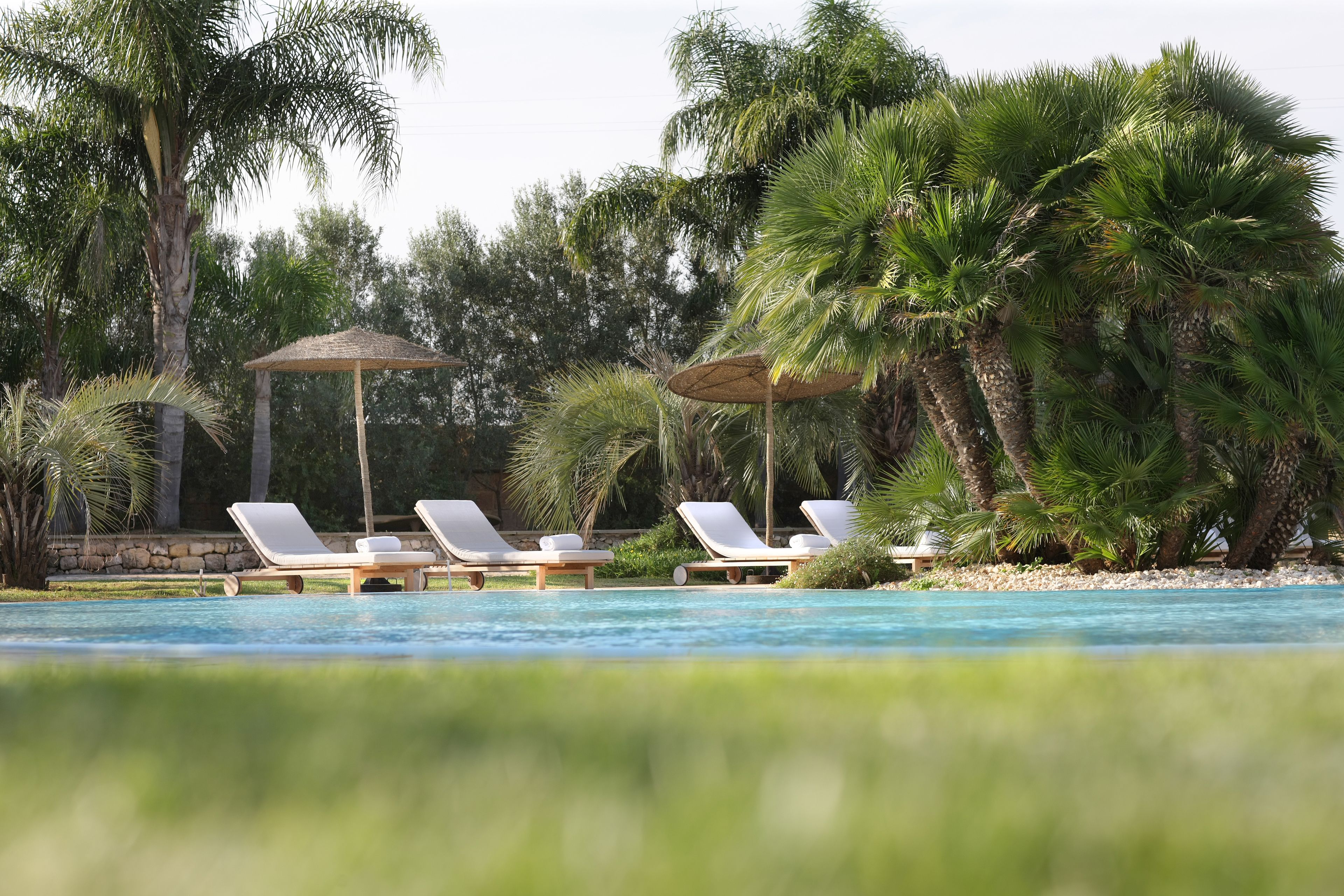 Zona de piscina con sillones de descanso y sombrillas, rodeada de palmeras.