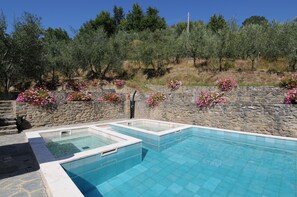 Outdoor pool, pool loungers - Agriturismo La Casella (Castelfranco Piandisco)