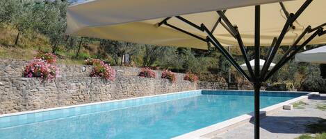 Outdoor pool, pool loungers