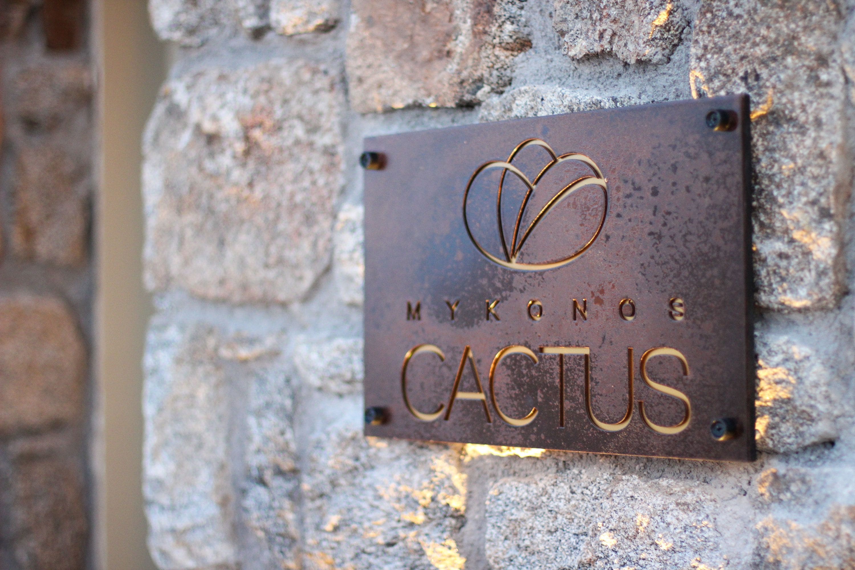 Foto - Mykonos Cactus