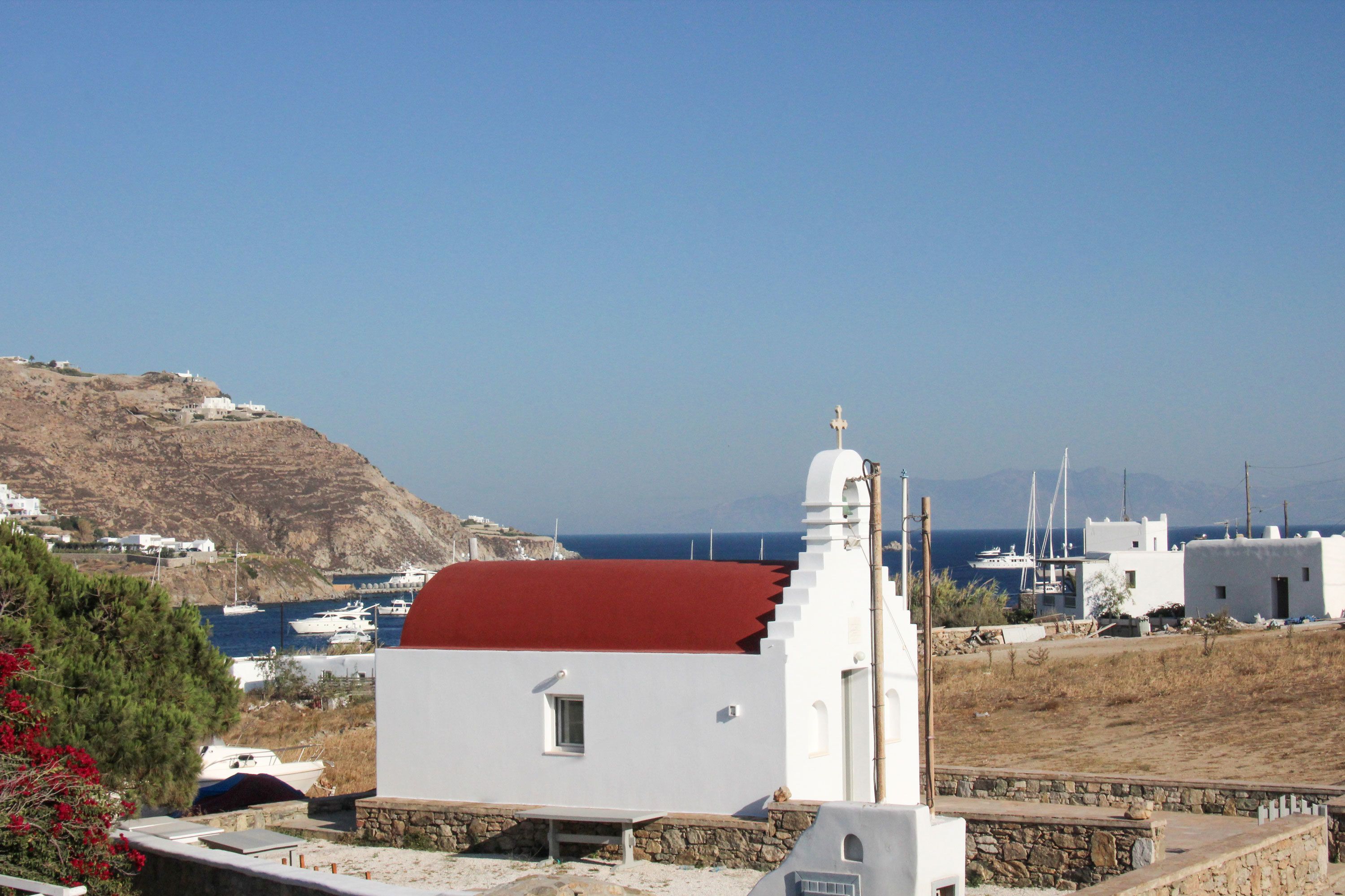 Foto - Mykonos Cactus