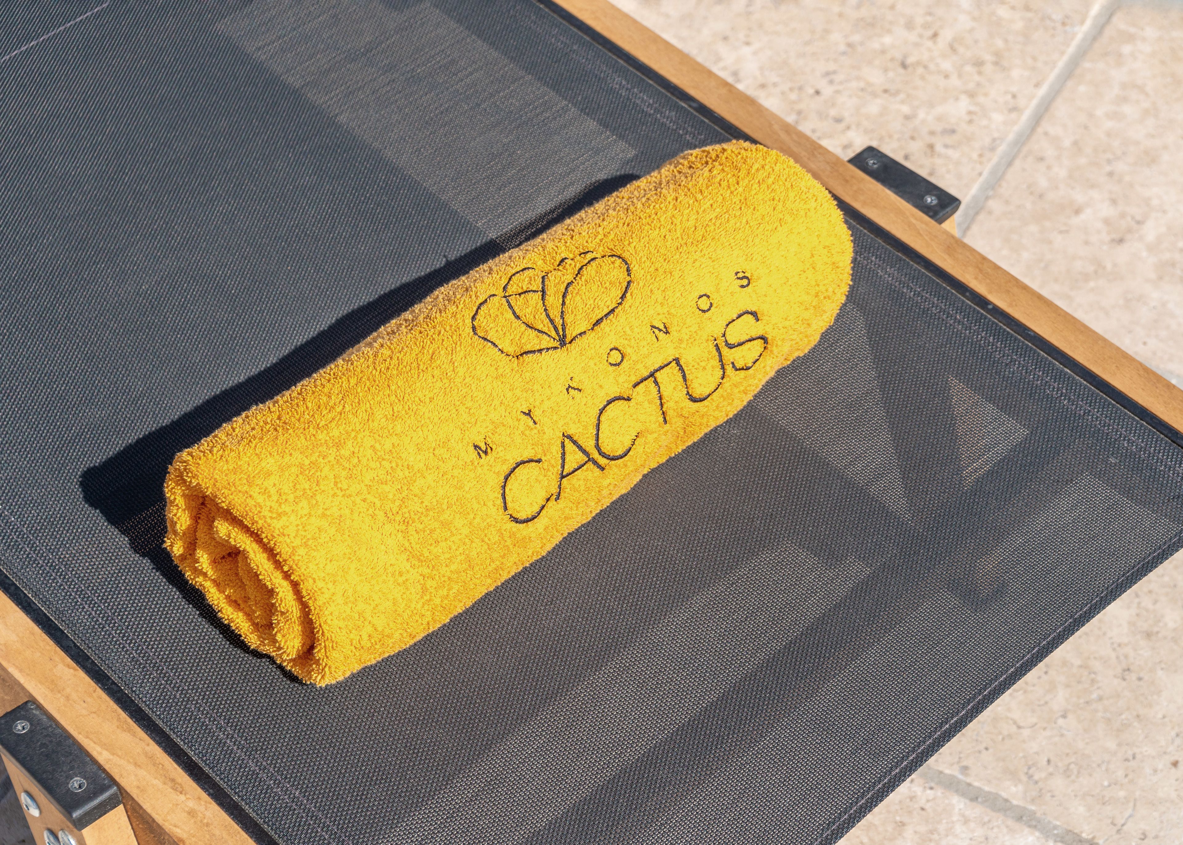 Foto - Mykonos Cactus