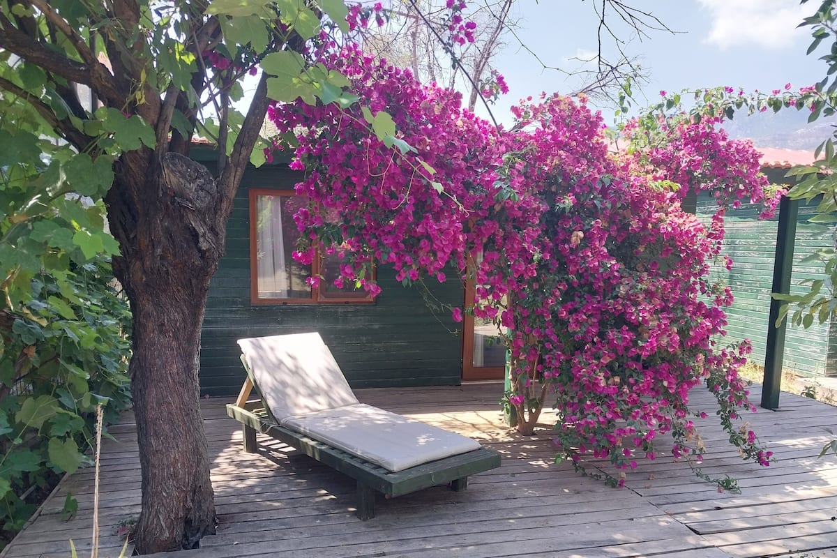 A wooden deck with a single lounge chair, a tree, and a house with a window.