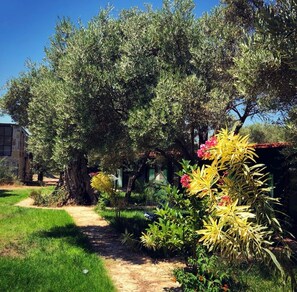 Jardín