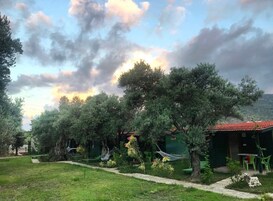 Um jardim com árvores, uma rede e um pequeno edifício com telhado vermelho.