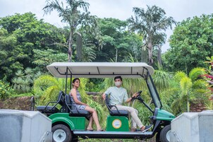 A golf cart with two people, surrounded by lush greenery and trees.