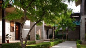 Un patio con un camino empedrado, árboles y un edificio de fachada con tejas.