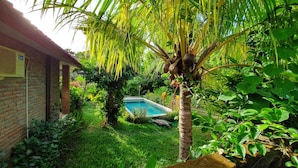 A backyard with a swimming pool, lush greenery, and a brick building. - Timbis Homestay Bali (Kutuh)