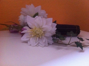 Detalhe da parte interna