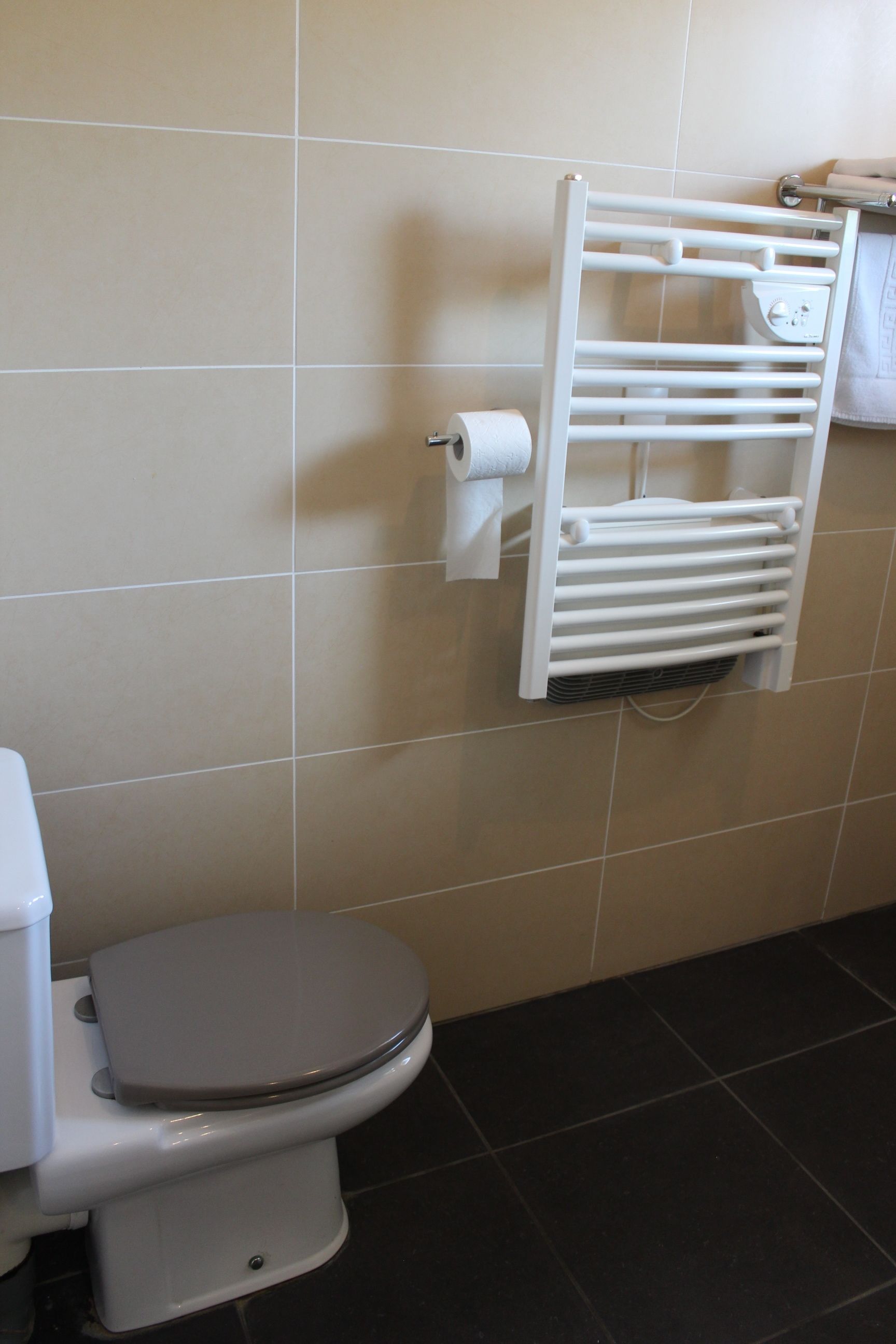 Une salle de bain équipée de toilettes, d’un porte-serviettes et d’un rouleau de papier toilette.