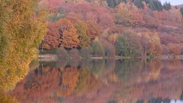 A calm lake reflecting autumn trees.