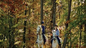 Horseback riding