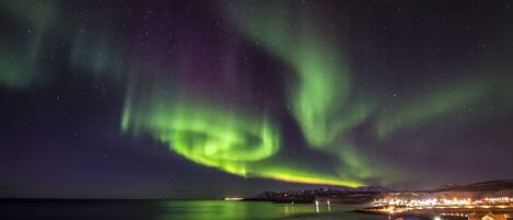 Utsikt från boendet
