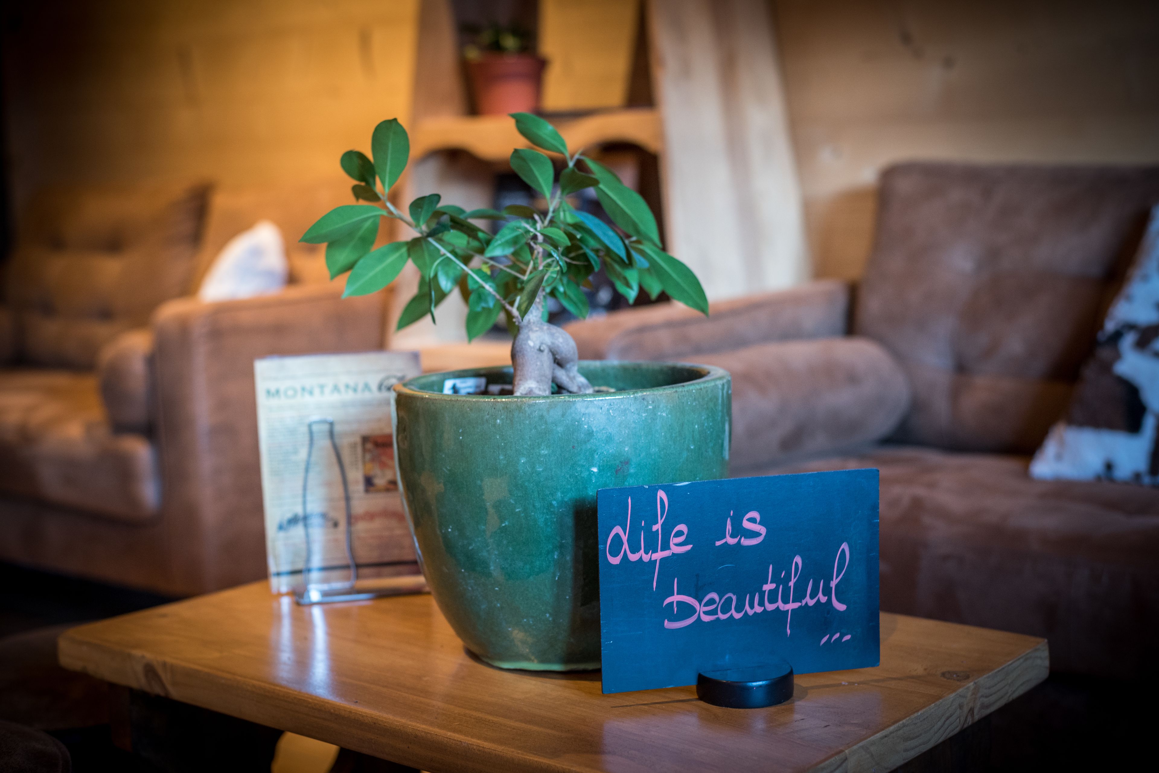 A potted plant with a sign that reads "life is beautiful" on a wooden table in a cozy room with a couch and a bookshelf.