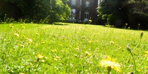 Garden - Queen Christine (Villeneuve-d'Ascq)