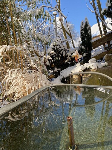 Pia's Nature Retreat