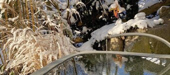 Pia's Nature Retreat