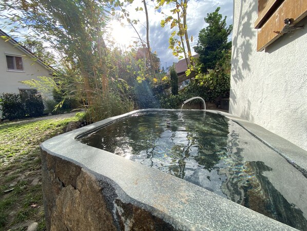 A swimming pool with a curved edge, surrounded by greenery and a house.