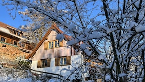 A traditional wooden house with a steep roof, surrounded by snow-covered trees and a clear blue sky. - Pia's Nature Retreat (Neukirch)