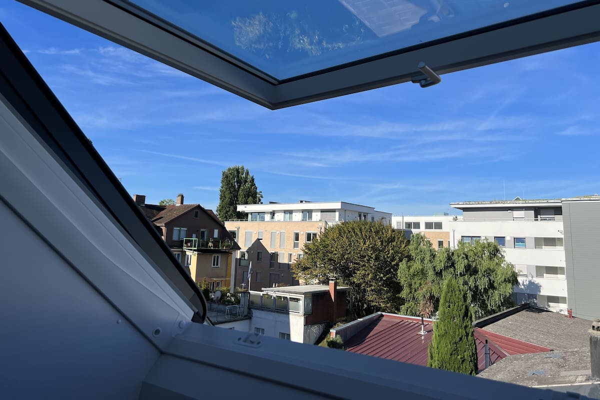 Vista desde una ventana con tragaluz, que da a una zona residencial con varios edificios y árboles.