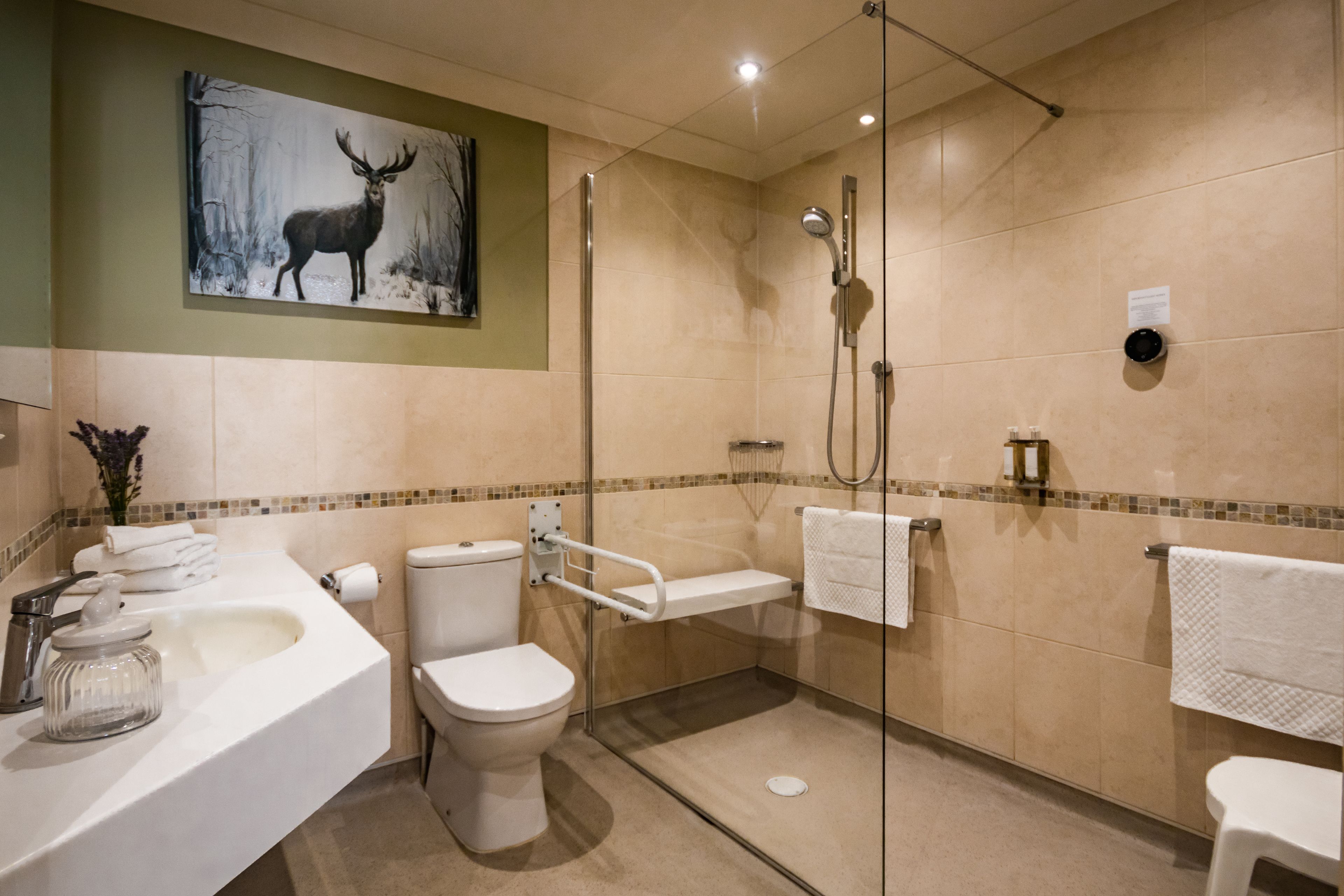 combined shower/bathtub, deep-soaking bathtub, free toiletries