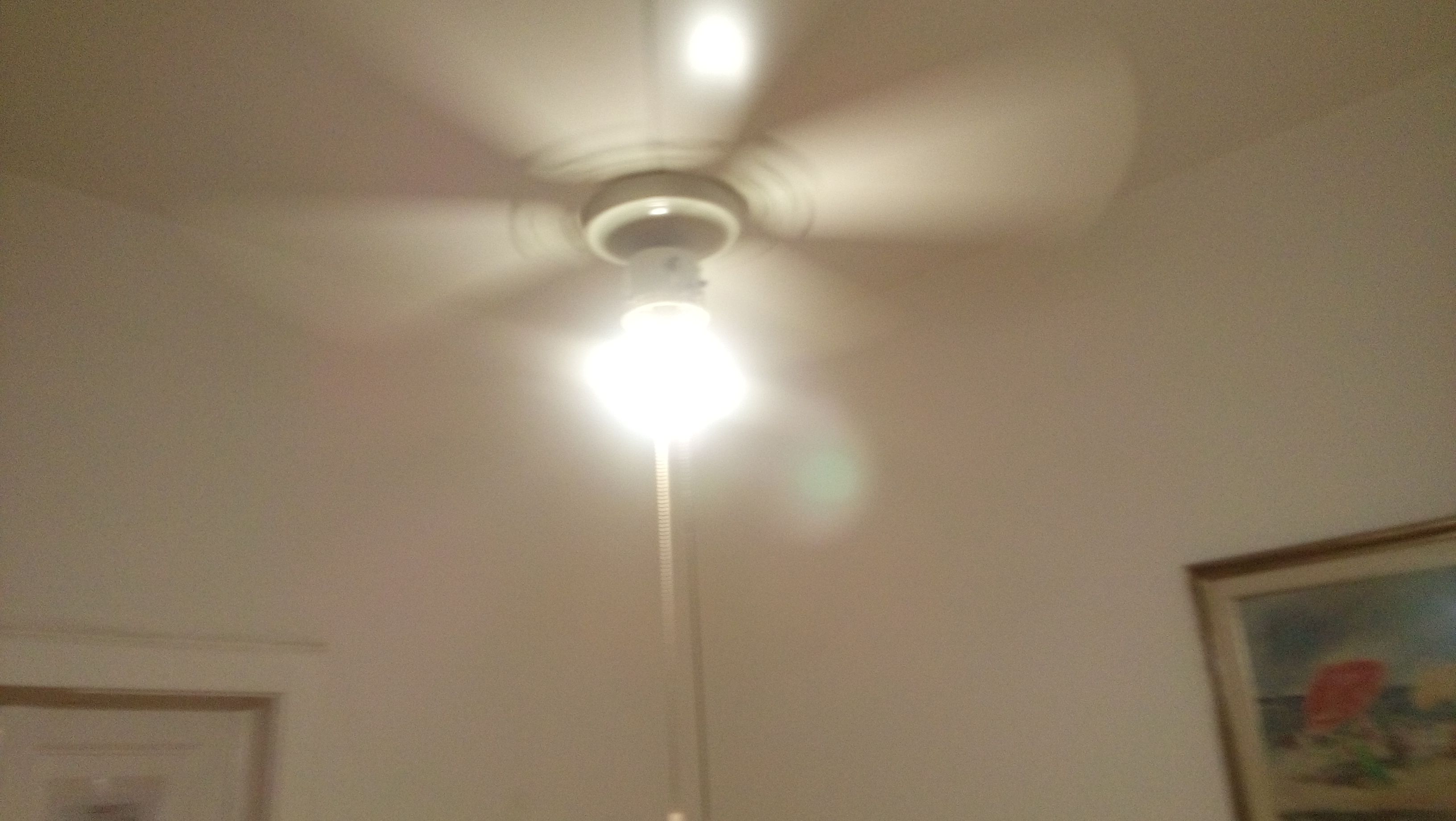 Foto - Albergo Cavour SELF CHECK-IN