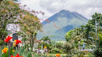Pemandangan dari hartanah