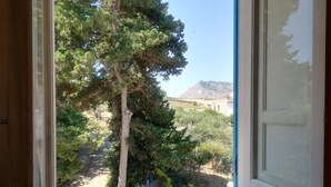 Vista desde una ventana a un jardín con árboles y una montaña distante.