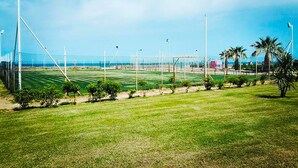 Un campo deportivo bien cuidado con un arco, rodeado por una cerca de malla metálica, palmeras y un cielo despejado.